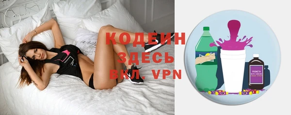 индика Беломорск