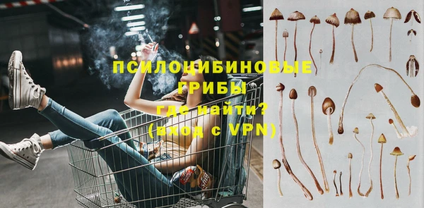 индика Беломорск