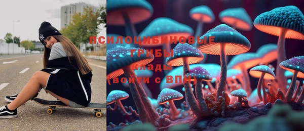 индика Беломорск