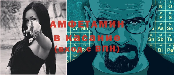 индика Беломорск